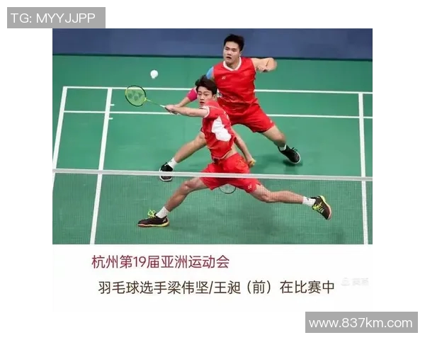 杭州排球队在锦标赛中的默契配合与战术执行分析