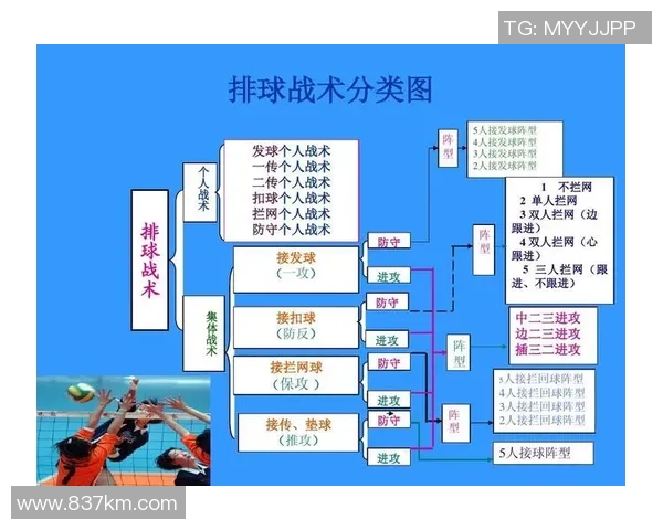 广州排球队中路突破战术解析与未来发展展望