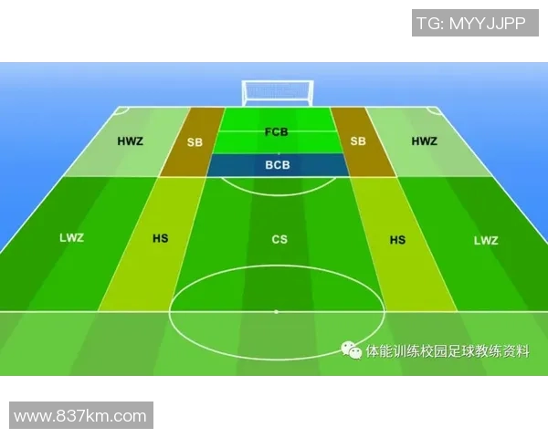 深入分析北京足球队防守策略与战术执行的关键要素