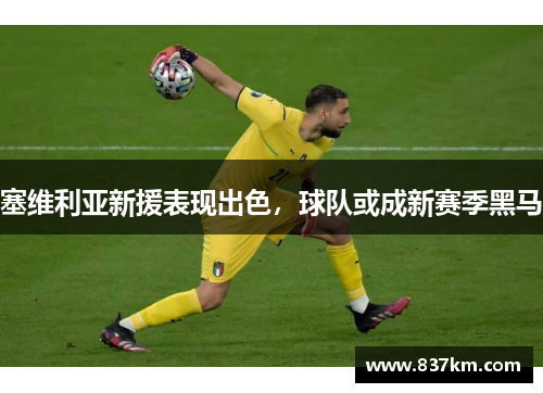 塞维利亚新援表现出色，球队或成新赛季黑马