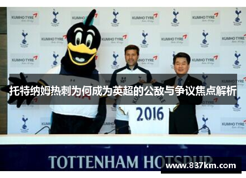 托特纳姆热刺为何成为英超的公敌与争议焦点解析