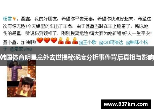 韩国体育明星意外去世揭秘深度分析事件背后真相与影响